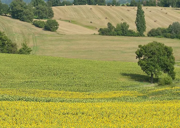 Кемпинг Pre-fixe Cassagnabere-Tournas