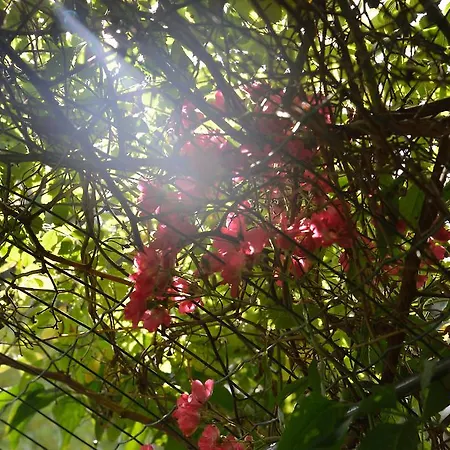 Campsite Pre-fixe Cassagnabere-Tournas