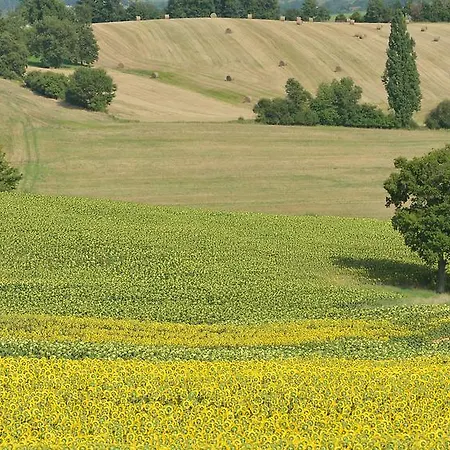 Campsite Pre-fixe Cassagnabere-Tournas