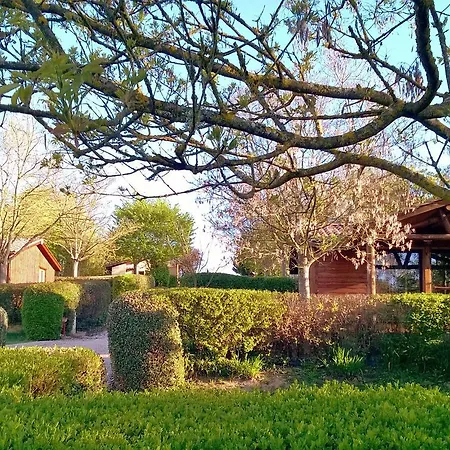 Pre-fixe 4* Cassagnabère-Tournas