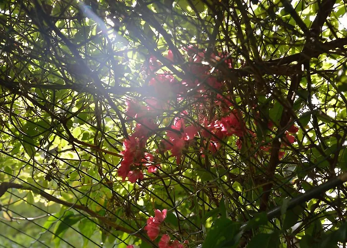 Camping Pré-fixe Cassagnabère-Tournas